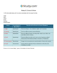 Senses & Reflexes in the Nervous System Visual Worksheet