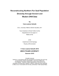 SFU Thesis Template Files