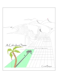 A Calculus Oasis on the Sands of Trigonometry