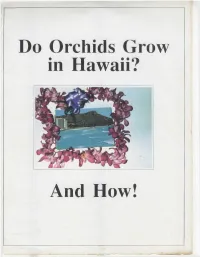 Do Orchids Grow in Hawaii? and How!