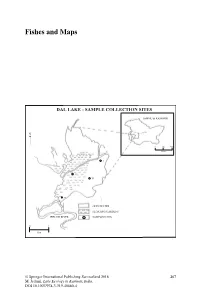 Fishes and Maps