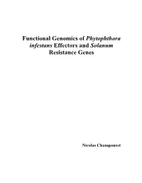 Functional Genomics of Phytophthora Infestans Effectors and Solanum Resistance Genes