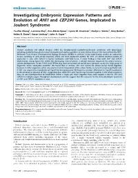 Investigating Embryonic Expression Patterns and Evolution of AHI1 and CEP290 Genes, Implicated in Joubert Syndrome