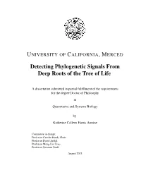 Detecting Phylogenetic Signals from Deep Roots of the Tree of Life