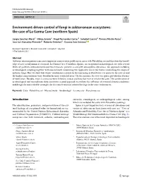 Environment-Driven Control of Fungi in Subterranean Ecosystems: the Case