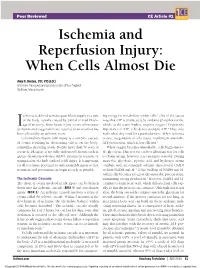 Ischemia and Reperfusion Injury: When Cells Almost Die