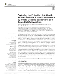 Exploring the Potential of Antibiotic Production from Rare Actinobacteria by Whole-Genome Sequencing and Guided MS/MS Analysis