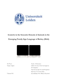 Iconicity in the Semantic Domain of Animals in The