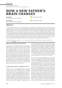 How a New Father's Brain Changes