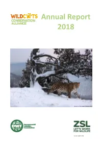 Annual Report 2018