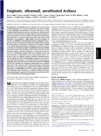Enigmatic, Ultrasmall, Uncultivated Archaea