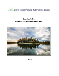 Jackfish Lake State of the Watershed Report