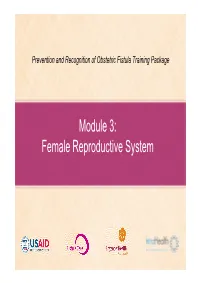 Female Reproductive System External Female Reproductive Organs Internal Female Reproductive Organs Menstrual Cycle