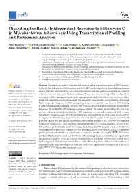 Dissecting the Reca-(In)Dependent Response to Mitomycin C in Mycobacterium Tuberculosis Using Transcriptional Proﬁling and Proteomics Analyses