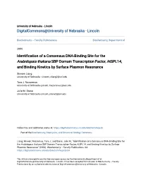 Identification of a Consensus DNA-Binding Site for The