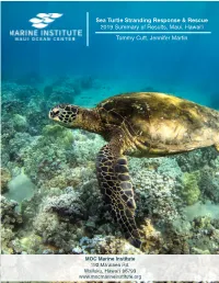 Sea Turtle Stranding Response & Rescue 2019 Summary of Results
