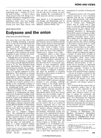 Ecdysone and the Onion
