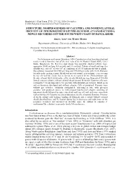 Structure, Morphogenesis of Calyptra and Nomenclatural Identity of Trichodesmium Erythraeum Ehr