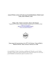 Animal Welfare in the CAP and Large-Scale Distribution. Public Social Policy and Consumer Trust