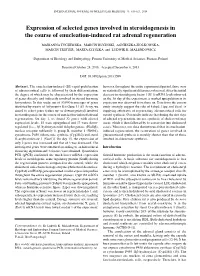 Expression of Selected Genes Involved in Steroidogenesis in the Course of Enucleation-Induced Rat Adrenal Regeneration