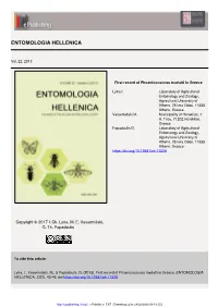 First Record of Phoenicococcus Marlatti in Greece