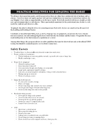 Practical Directives for Lungeing the Horse