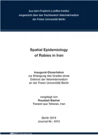 Spatial Epidemiology of Rabies in Iran