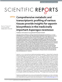 Comprehensive Metabolic and Transcriptomic Profiling of Various