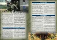 Hal Moore and Sergeant Major Plumley Are Based Together