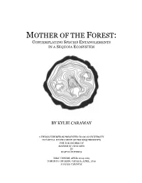 Mother of the Forest: Contemplating Species Entanglements in a Sequoia Ecosystem