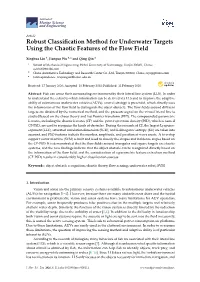 Robust Classification Method for Underwater Targets Using the Chaotic Features of the Flow Field