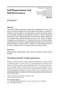 Self-Organization and Self-Governance Is Not One That Appears If We Look at the Level of Individual Components of a System
