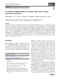 The MAP3K13-TRIM25-Fbxw7α Axis Affects C-Myc Protein Stability and Tumor Development