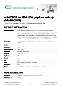 Anti-KDM2B (Aa 1274-1336) Polyclonal Antibody (DPABH-00578) This Product Is for Research Use Only and Is Not Intended for Diagnostic Use