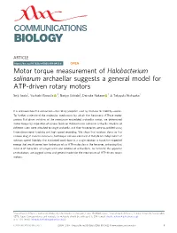 Motor Torque Measurement of Halobacterium Salinarum Archaellar Suggests a General Model for ATP-Driven Rotary Motors