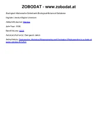 Systematics, Historical Biogeography and Ecological Phylogenetics in A
