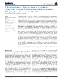 A Dual-Species Co-Cultivation System to Study the Interactions Between Roseobacters and Dinoﬂagellates