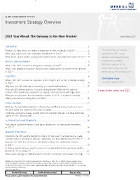 Investment Strategy Overview — Executive Summary