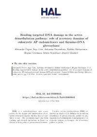 Reading Targeted DNA Damage in the Active