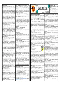 2009 Fireworks Display Information of This Festival Would Prevent Oncoming Pestilence