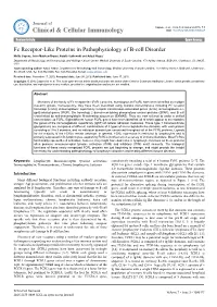 Fc Receptor-Like Proteins in Pathophysiology of B-Cell Disorder