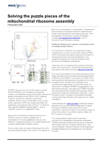 Solving the Puzzle Pieces of the Mitochondrial Ribosome Assembly 7 December 2020
