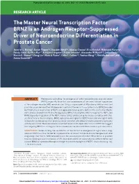 The Master Neural Transcription Factor BRN2 Is an Androgen Receptor–Suppressed Driver of Neuroendocrine Differentiation in Prostate Cancer