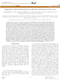 Amplification of Citrus Tristeza Virus from a Cdna Clone and Infection of Citrus Trees