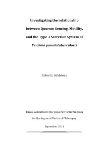 Investigating the Relationship Between Quorum Sensing, Motility, and the Type 3 Secretion System Of