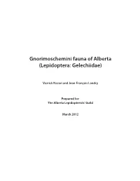 Lepidoptera: Gelechiidae)