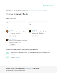 Freemartinism in Cattle