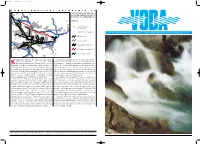 Junij 2001, {T