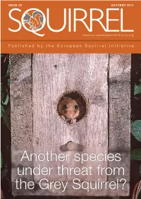 Another Species Under Threat from the Grey Squirrel? ESI Newsletter Issue 29 Layout 1 27/10/2014 15:34 Page 3