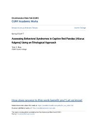 Assessing Behavioral Syndromes in Captive Red Pandas (Ailurus Fulgens) Using an Ethological Approach